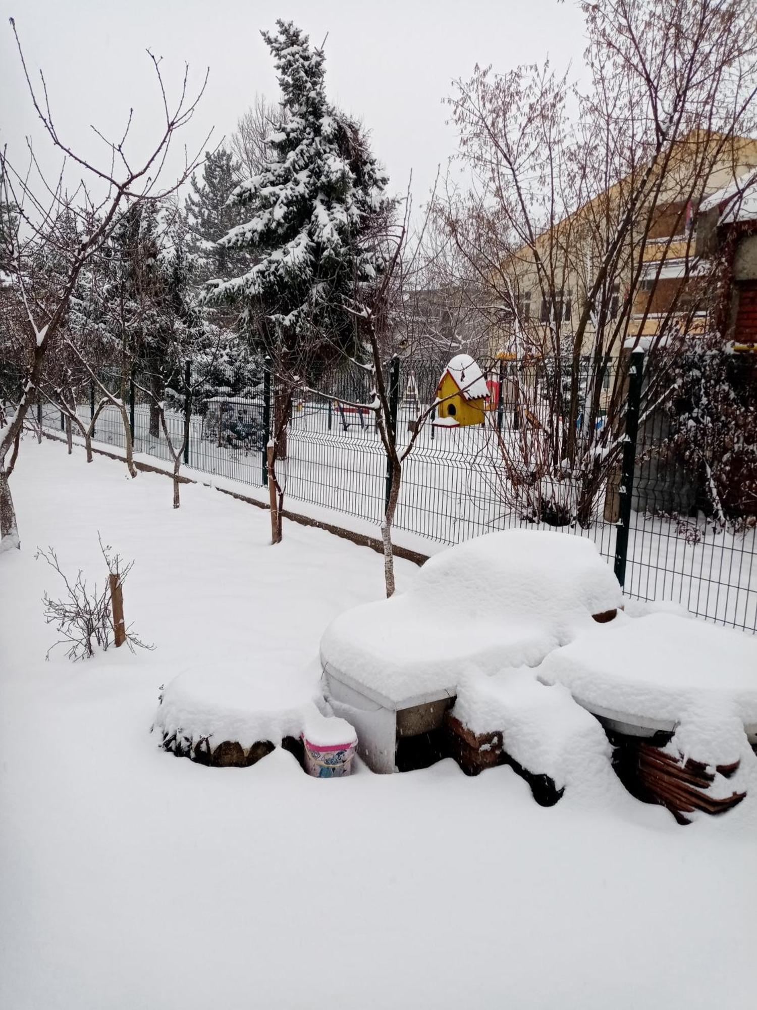 Milica Apartmani Vrdnik Exterior photo