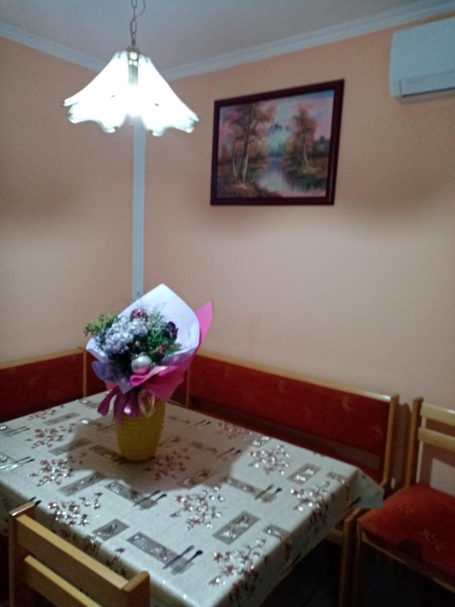 Milica Apartmani Vrdnik Exterior photo