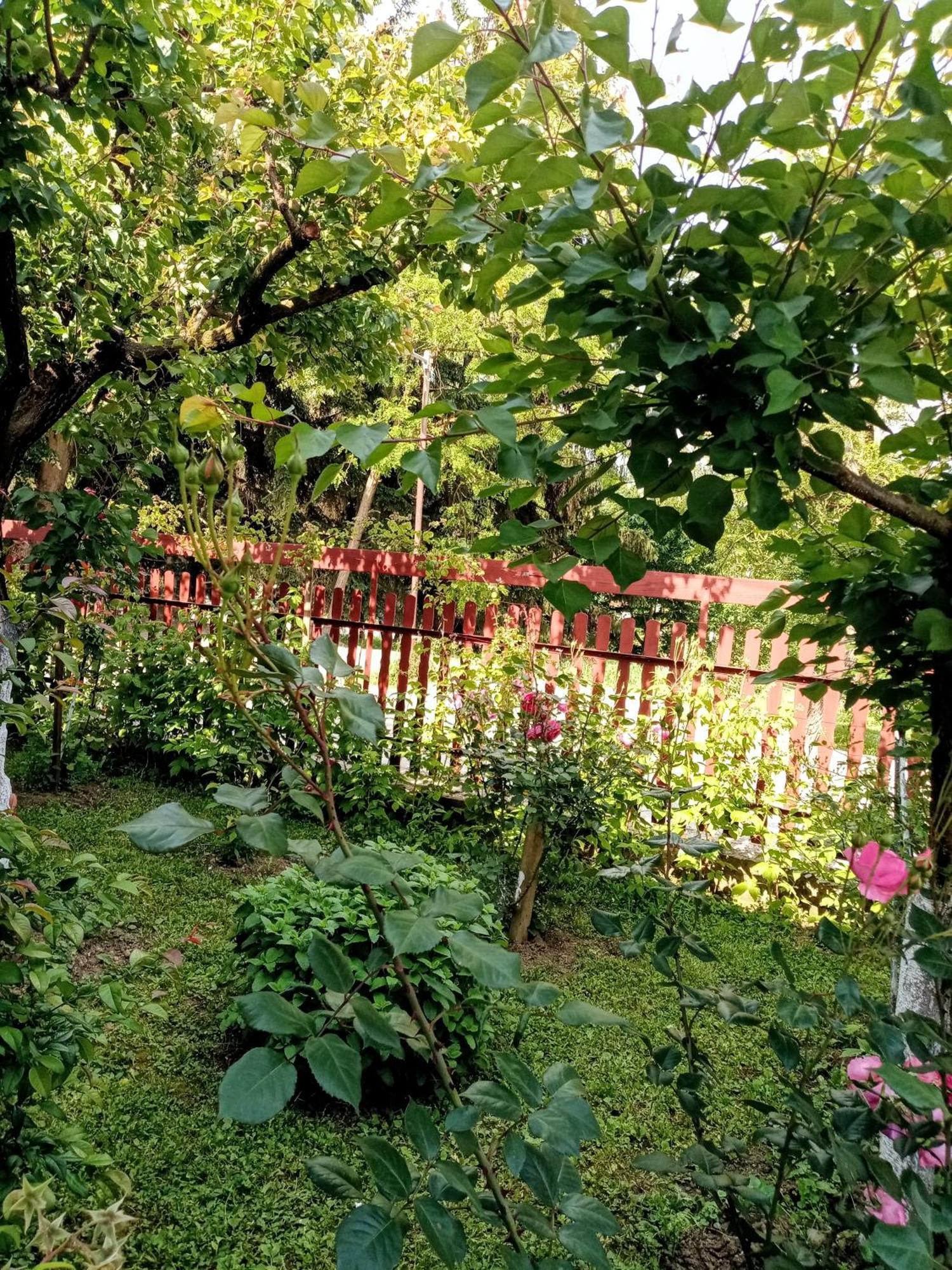 Milica Apartmani Vrdnik Exterior photo
