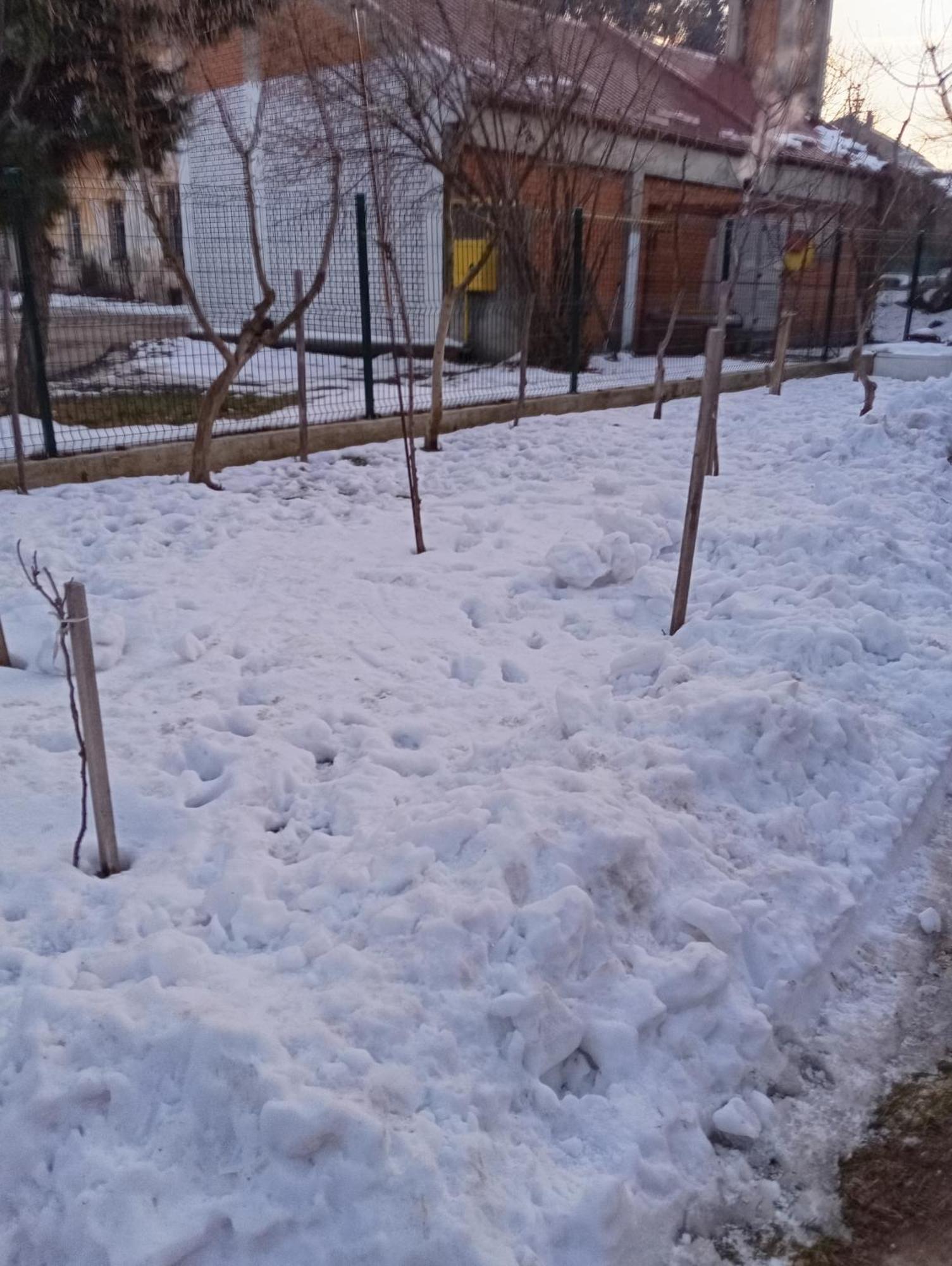 Milica Apartmani Vrdnik Exterior photo